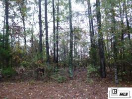 000 CORNEY CREEK DRIVE