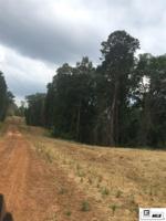 Lot 1 N LAKEVIEW DRIVE