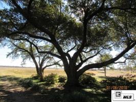 1710 A HIGHWAY 606