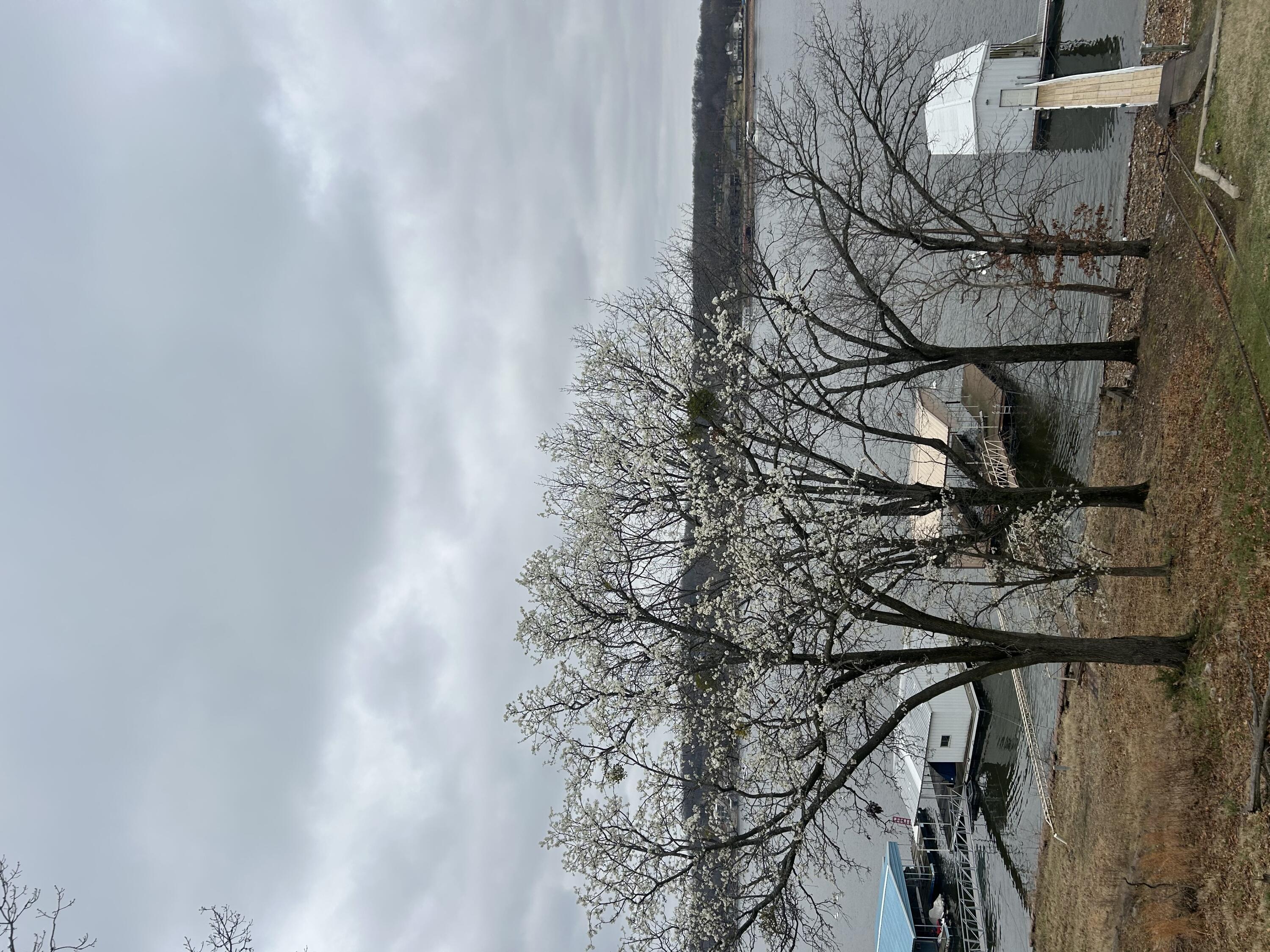 Image 1: Duck Creek Waterfront