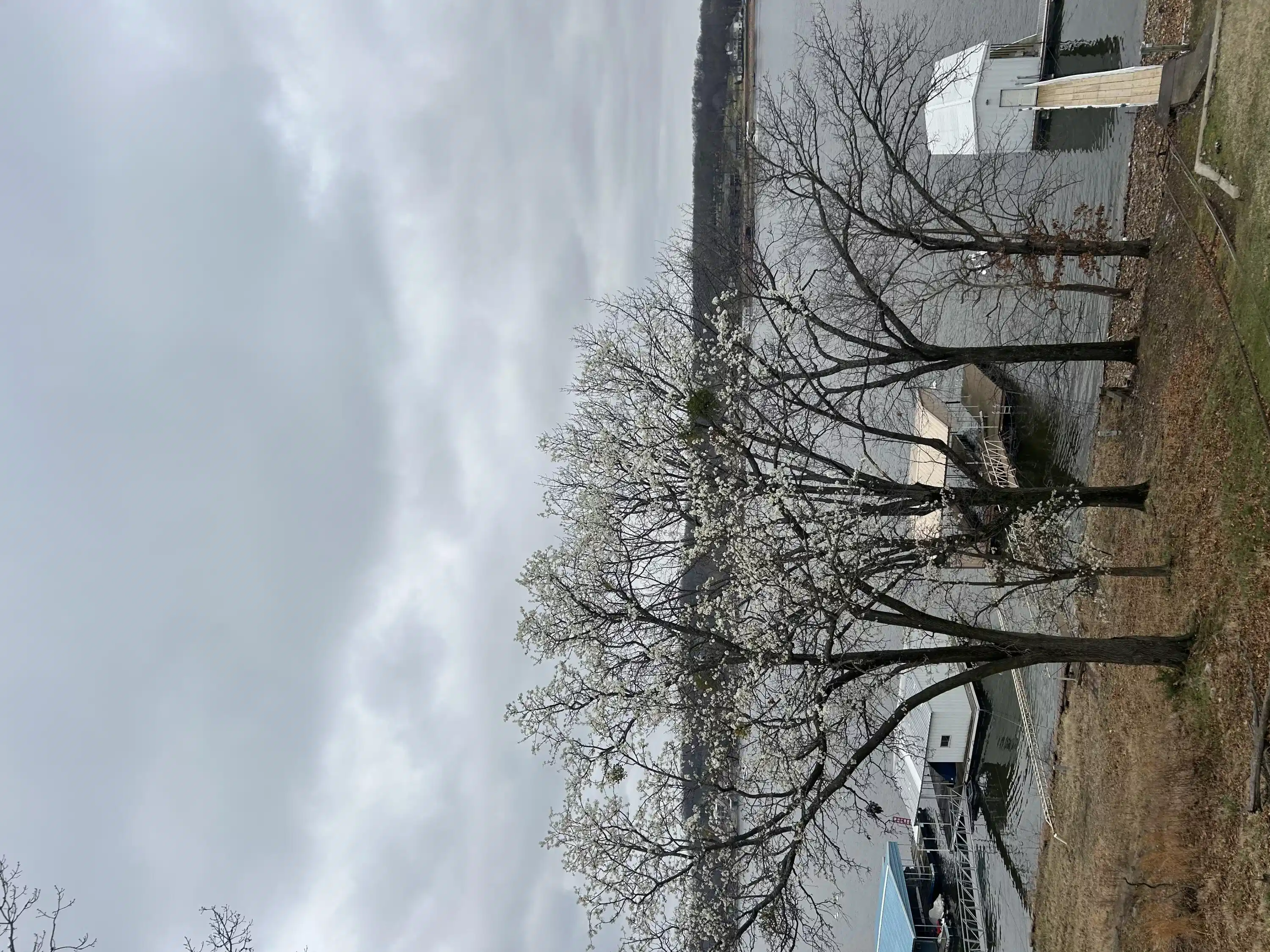Image 1: Duck Creek Waterfront