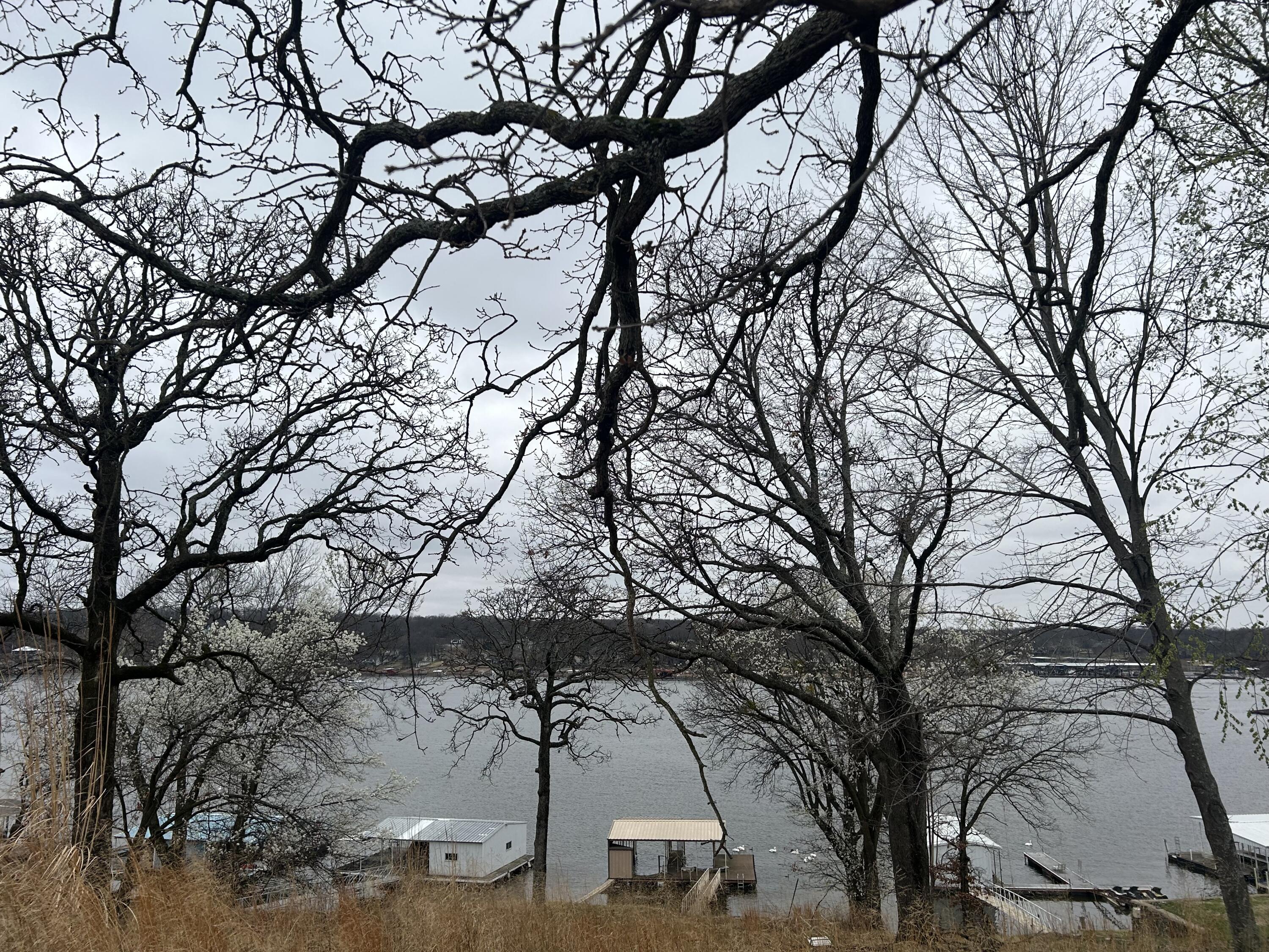 Image 4: View