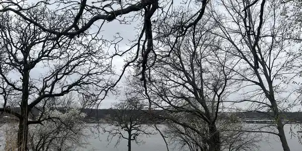 Image 4: View