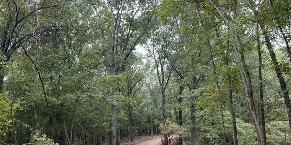 Image 3: Gravel road
