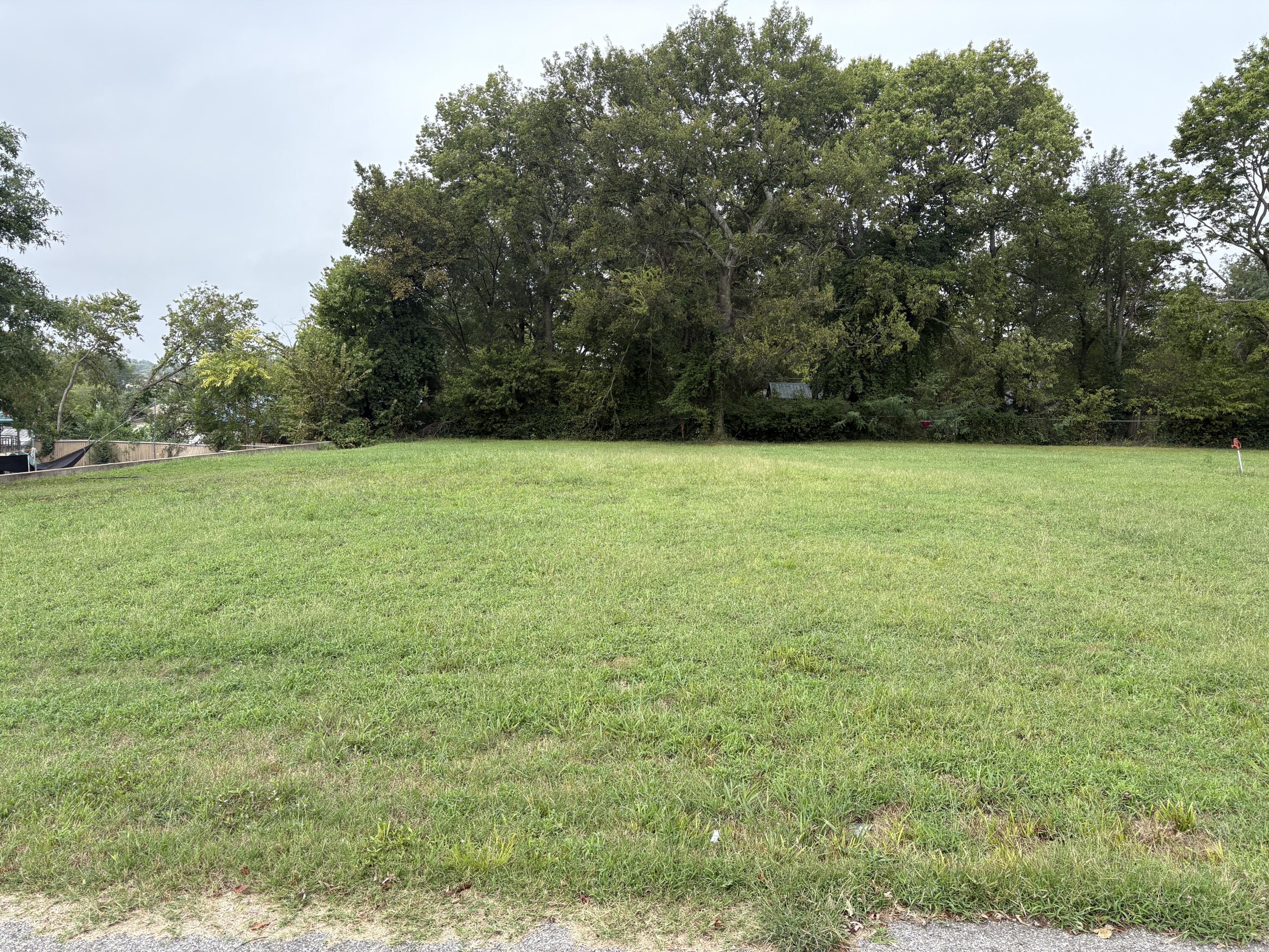 Image 1: 2 (2)