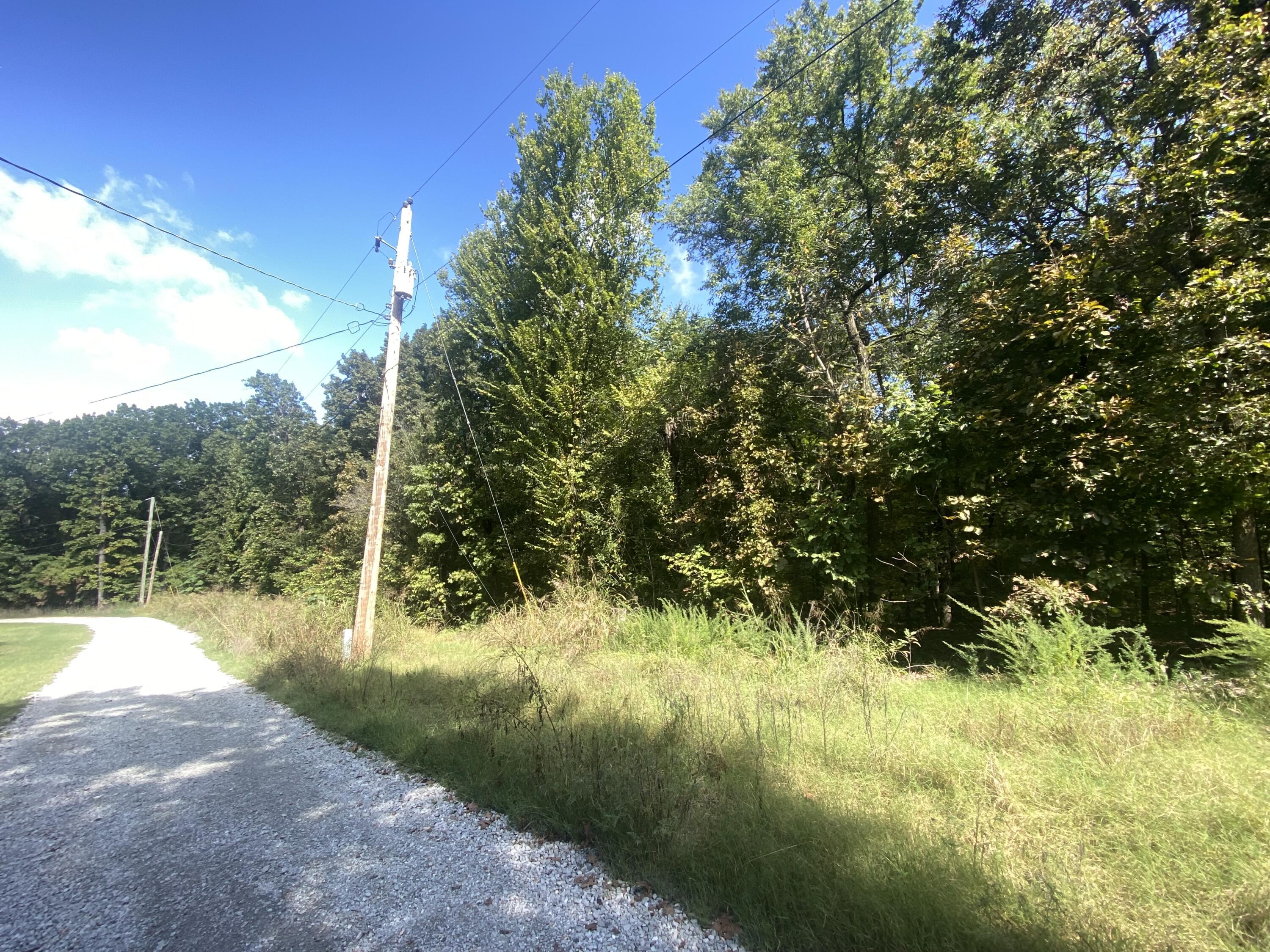 Image 2: IMG_8571