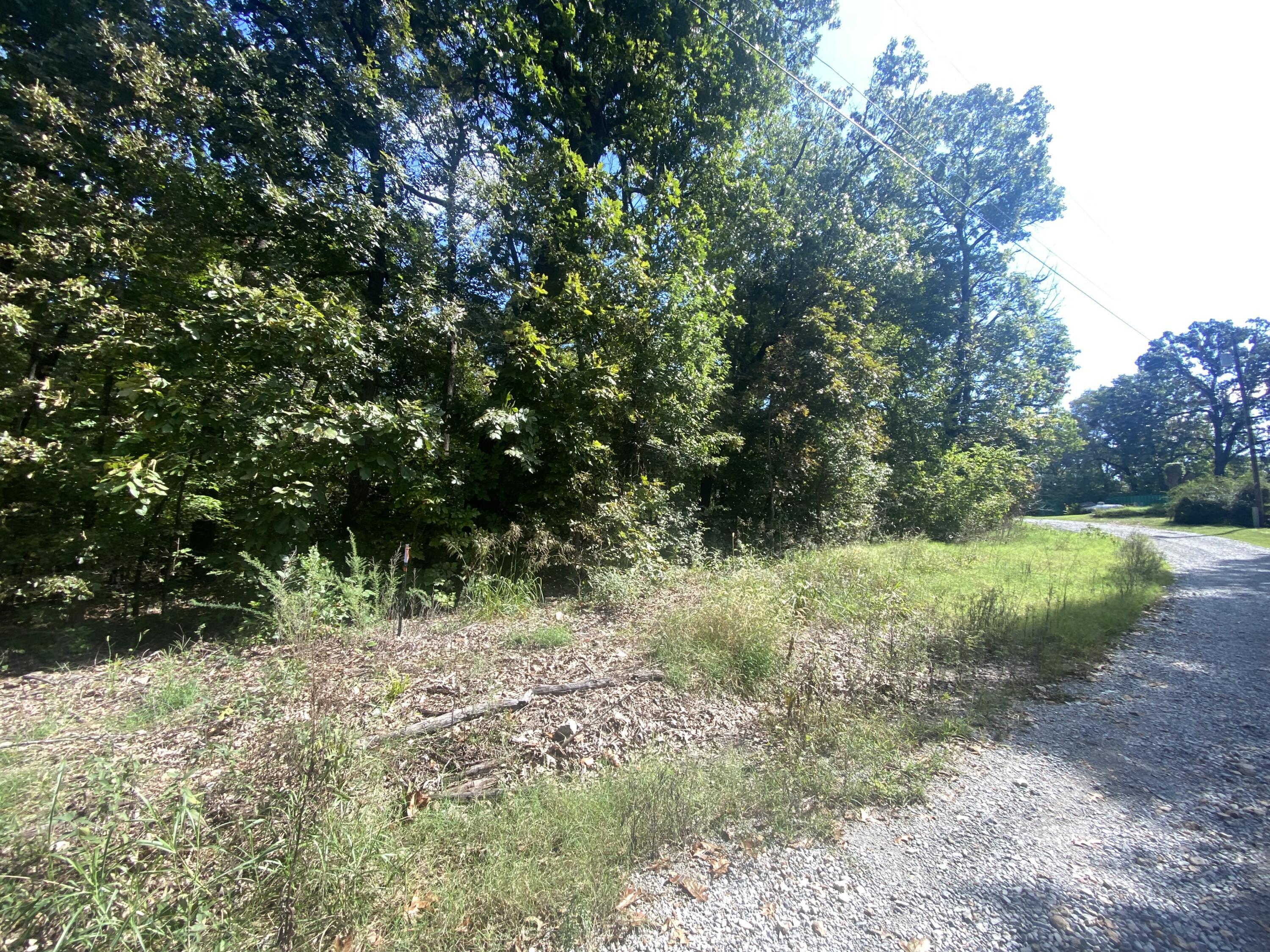 Image 2: IMG_8565