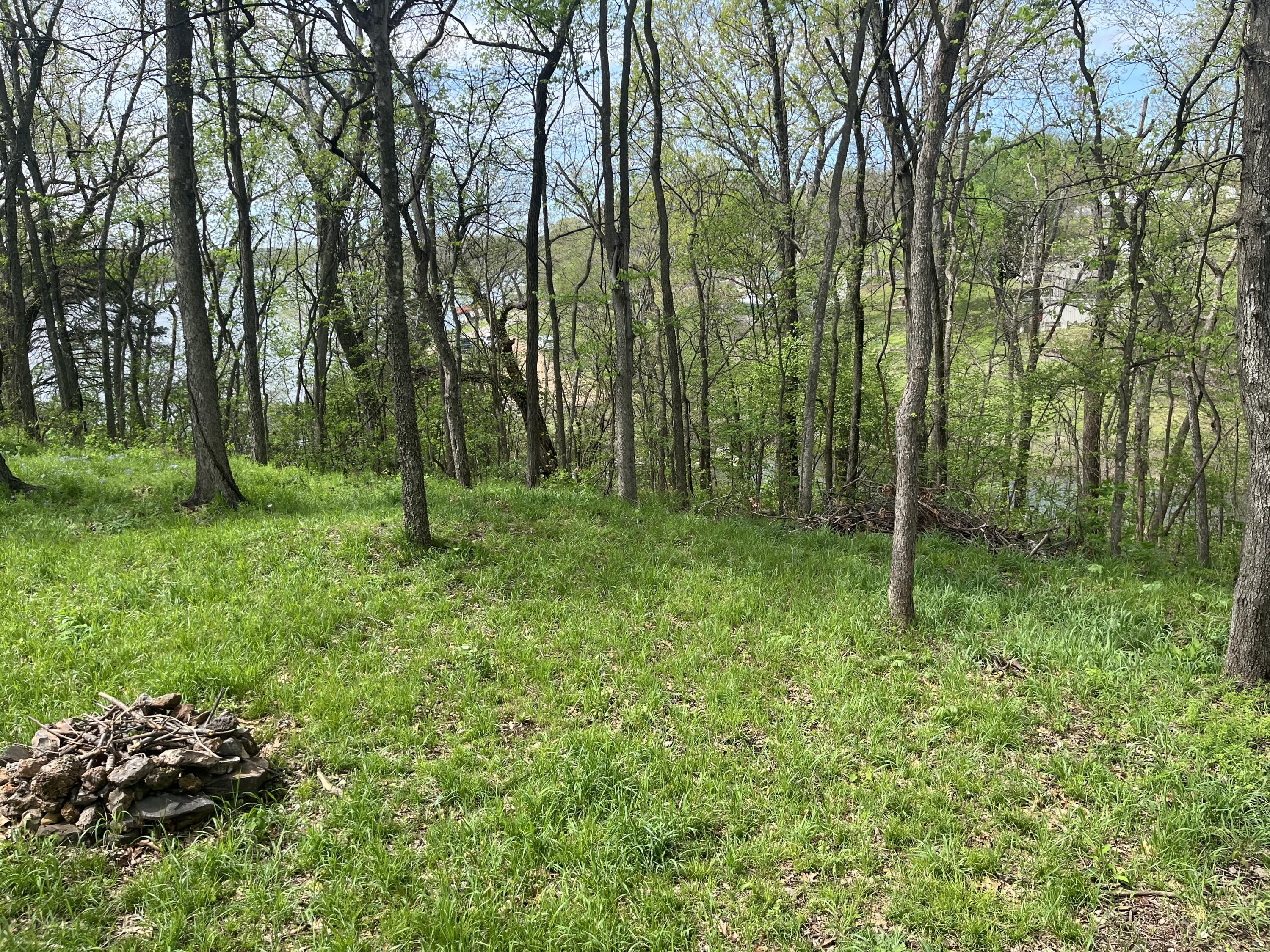 Image 3: IMG_2172