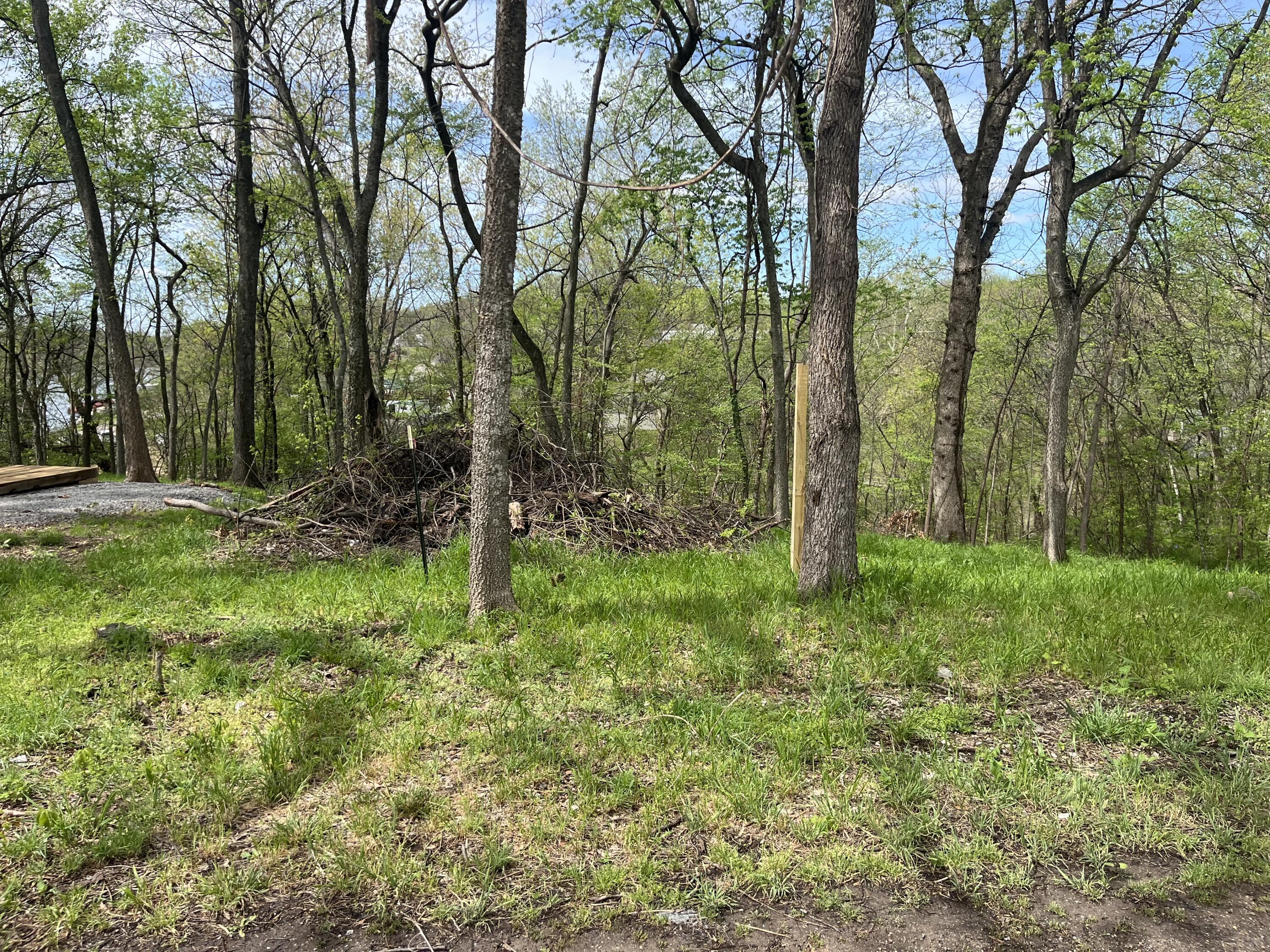 Image 4: IMG_2169