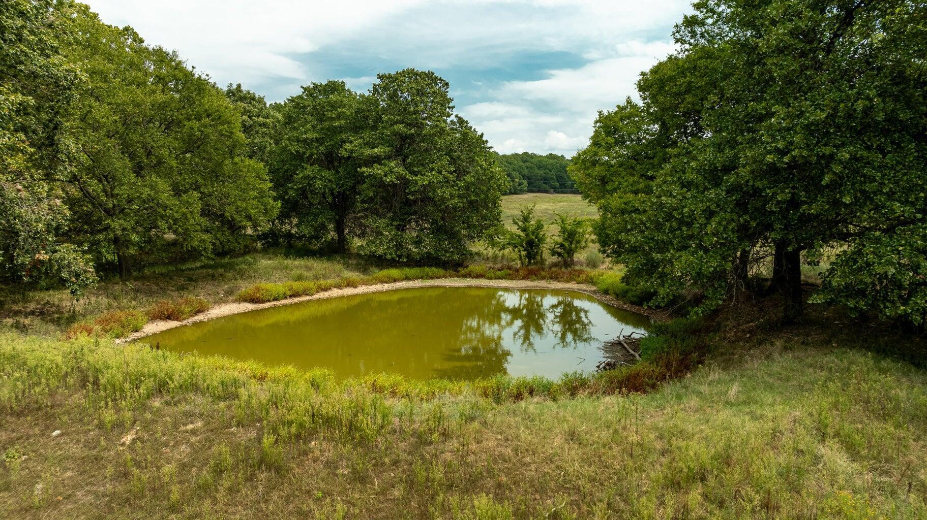 Image 4: Pond