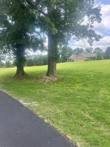 Lot 12&13 Upper Waterfall Road
