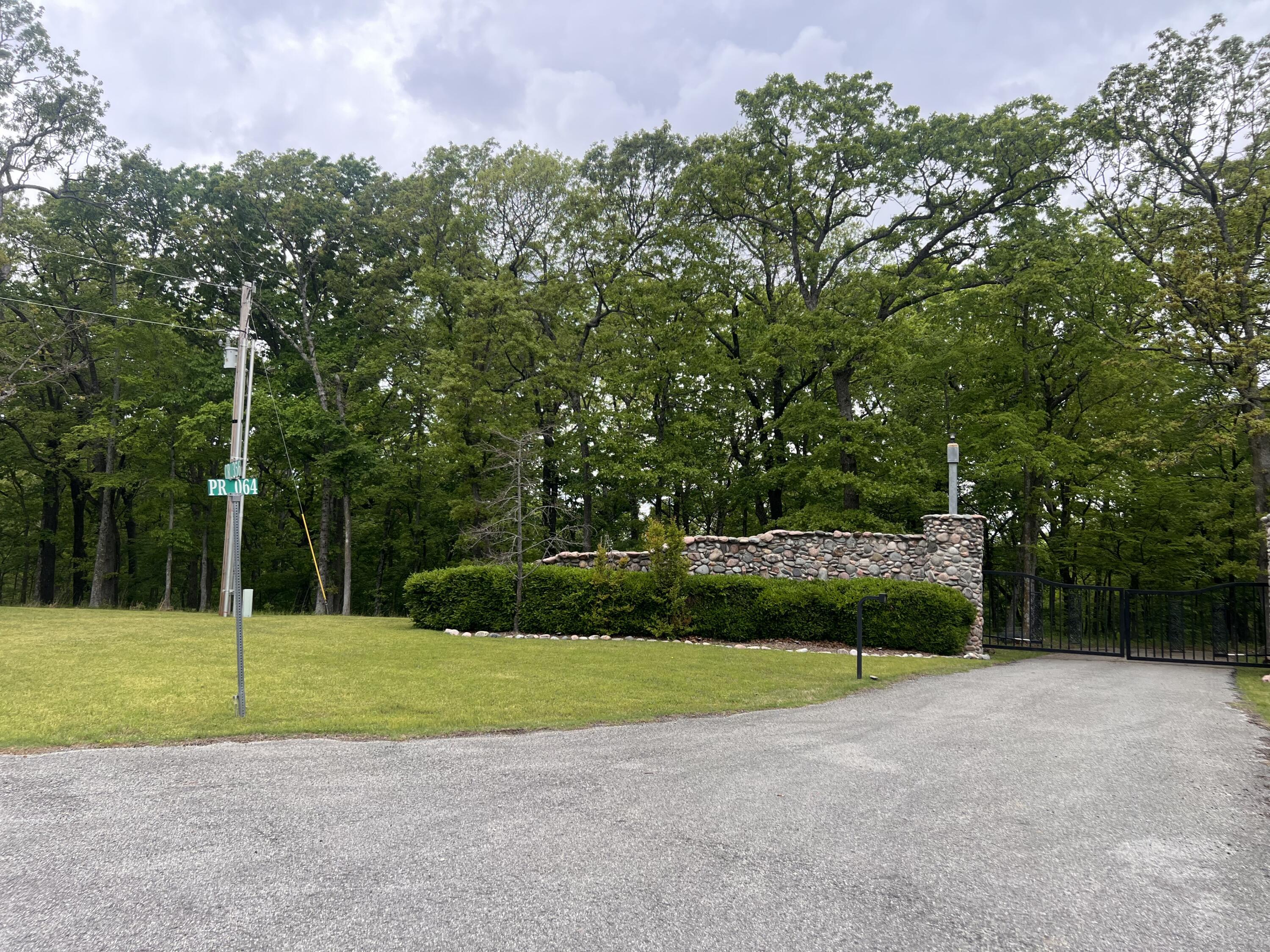 Image 3: IMG_6540