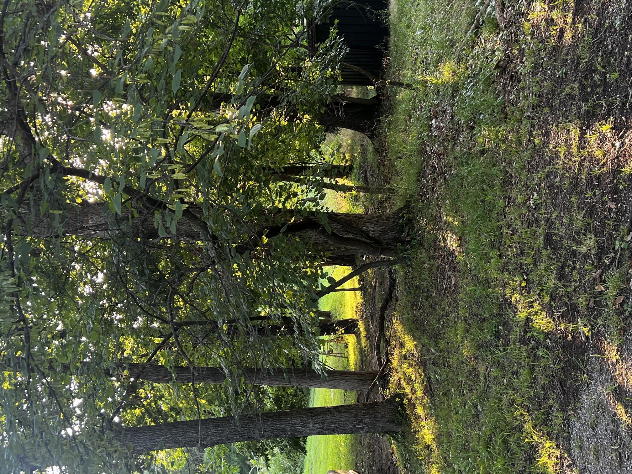 Image 1: Lot 27