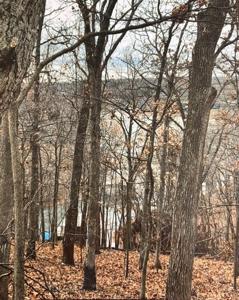 Lot 36 Blk 2 Pheasant Circle