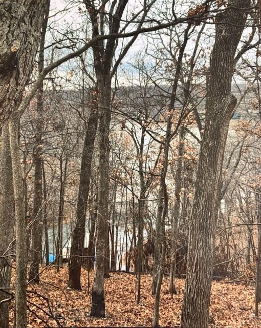 Image 1: View of Duck Creek