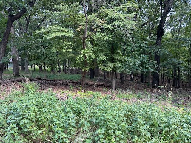Image 1: view of lots