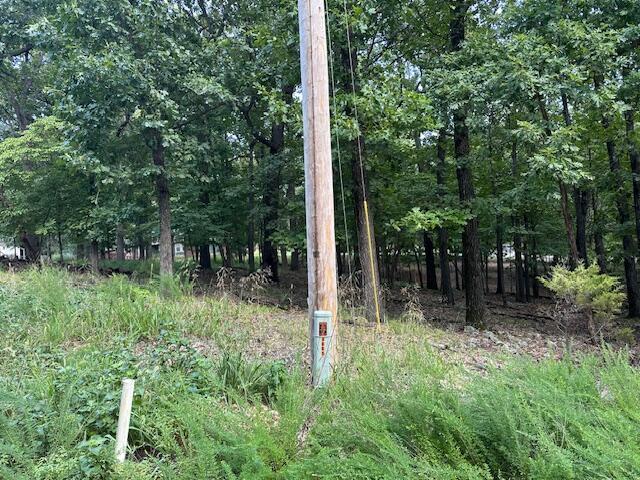 Image 2: Randle utilities along road
