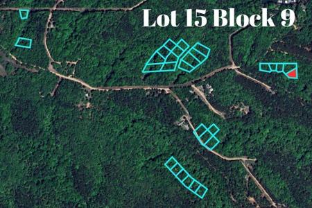 Lot 15 Block 9 (Piney Woods) E 330 Loop