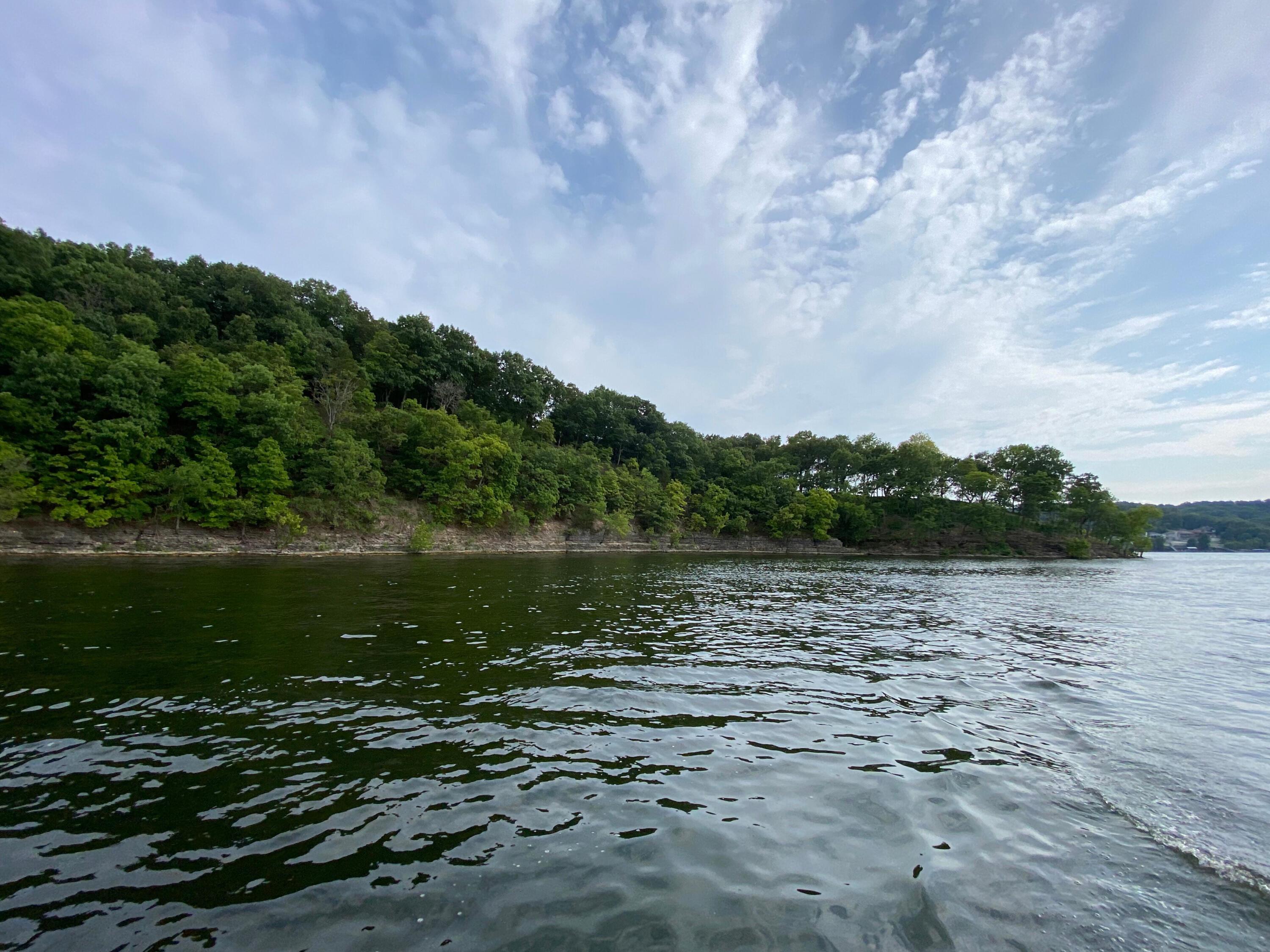 Image 3: E-cove side-summer