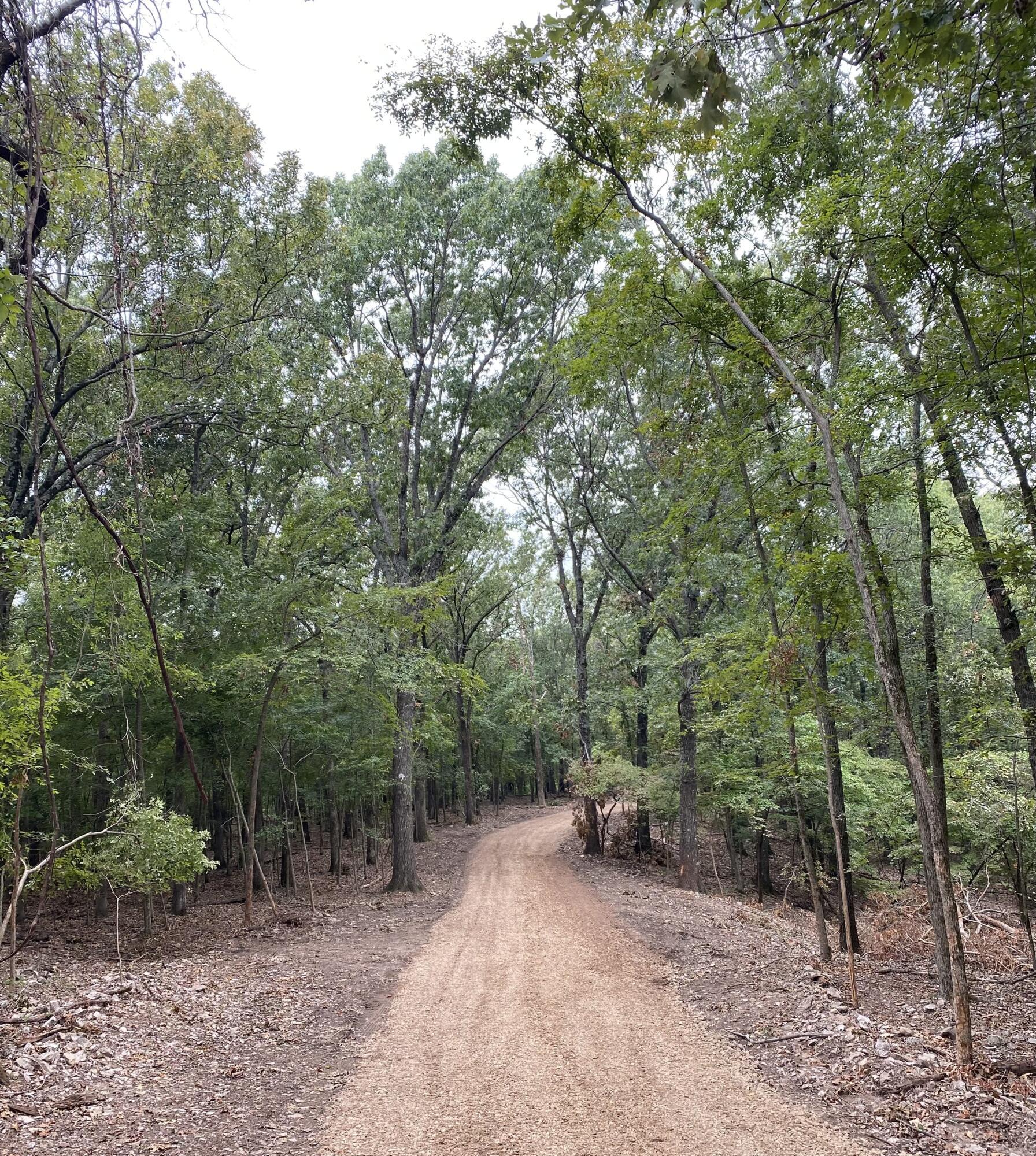 Image 3: Gravel road