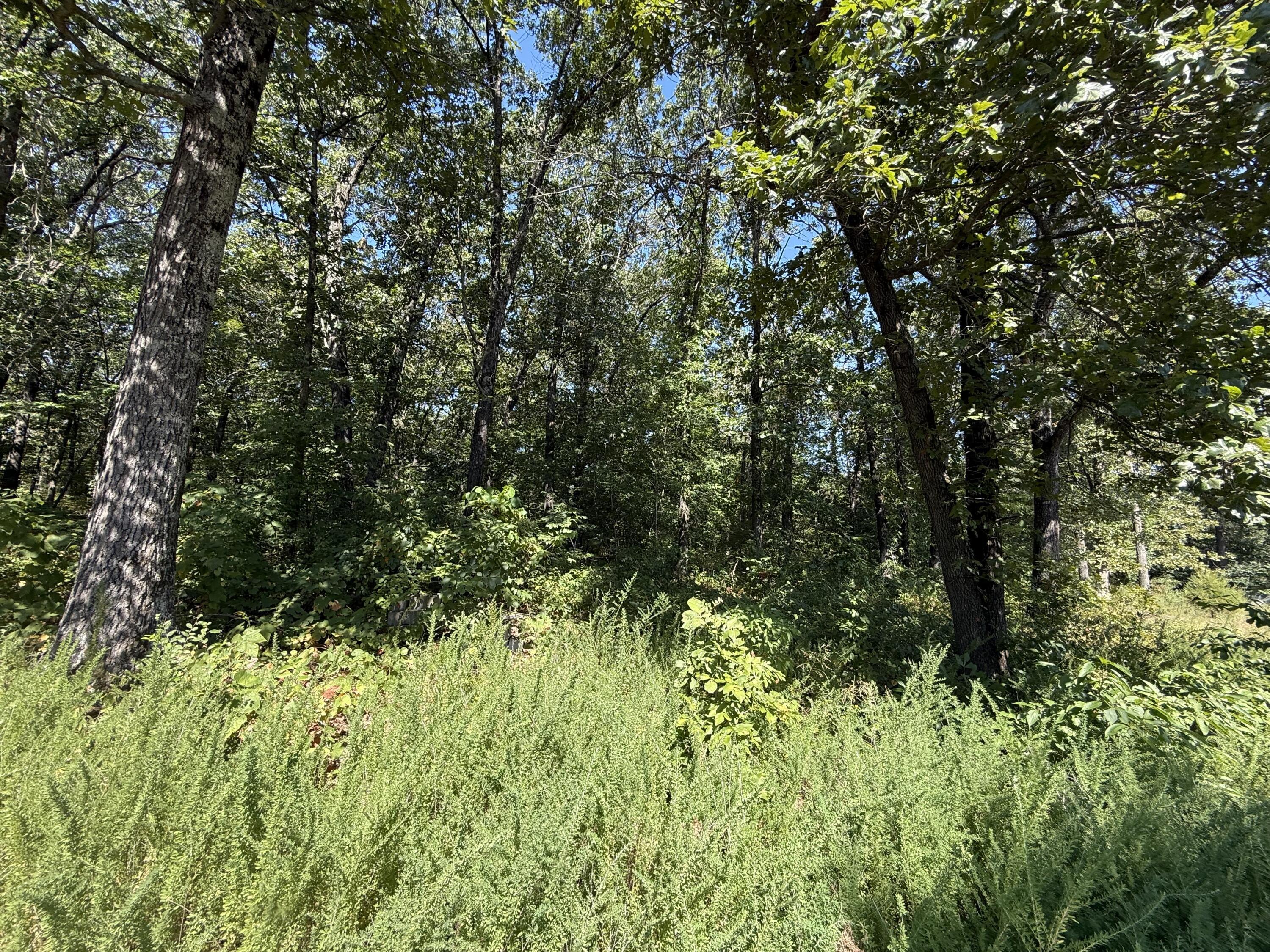 Image 2: Lot