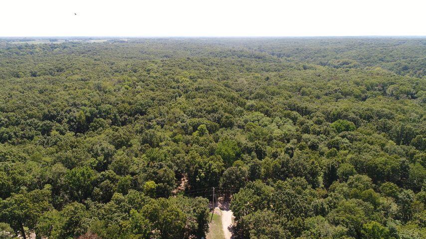 Image 3: 307 wooded acres