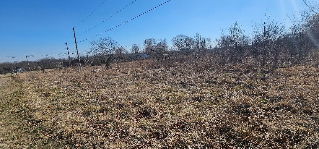 Image 4: lot photo 2