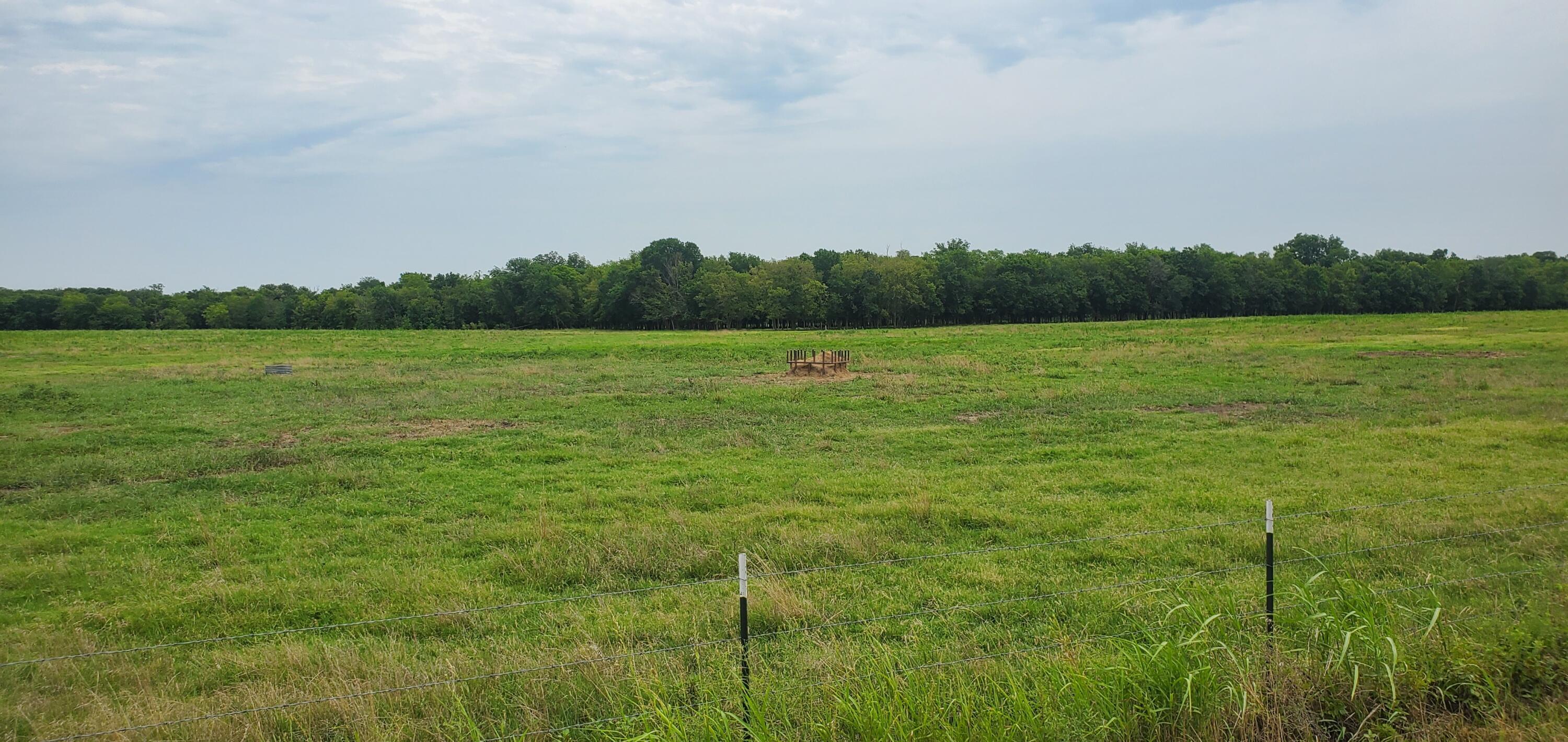 Image 3: 20240716_141331