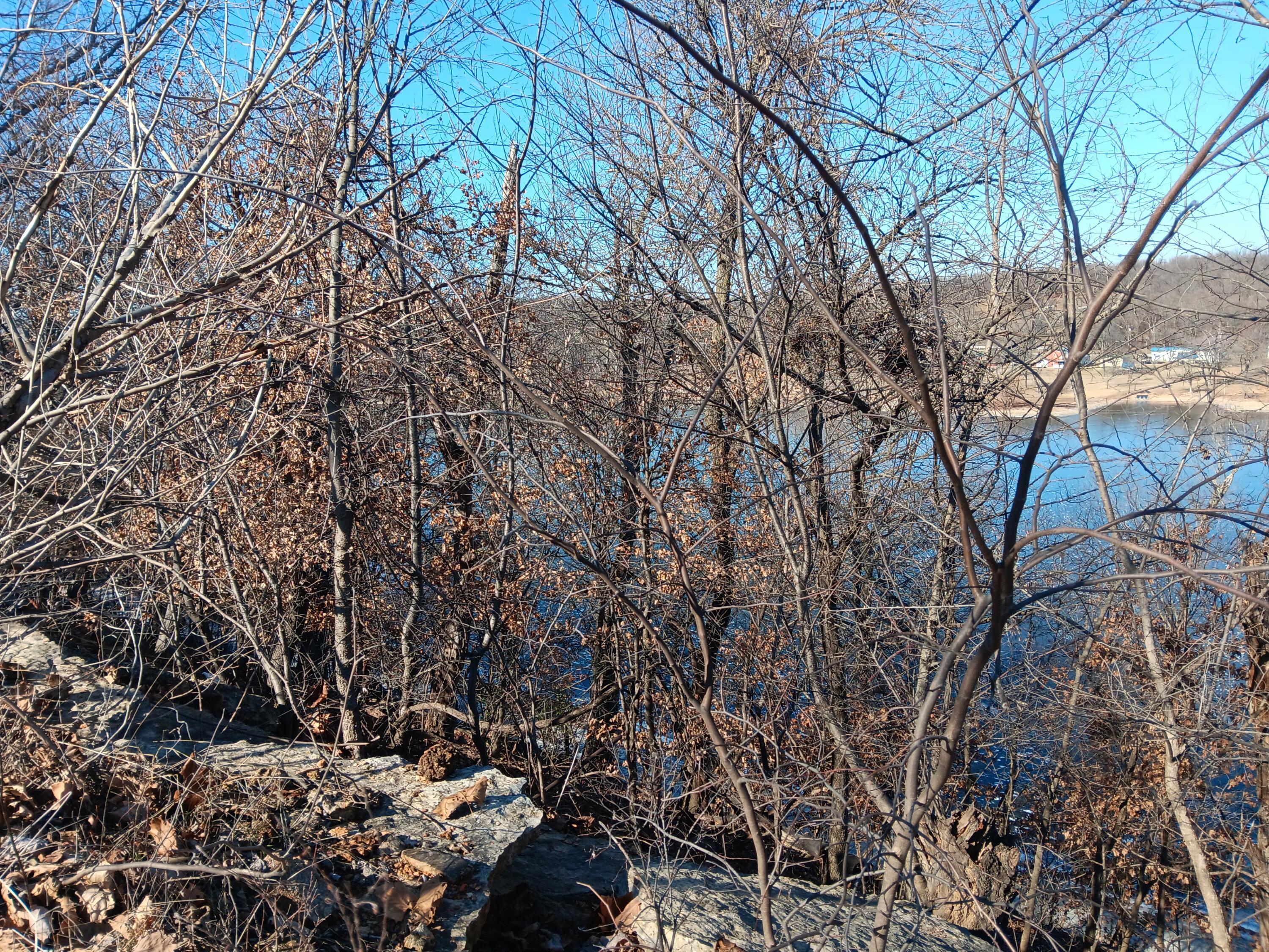 Image 4: 20250122_132628