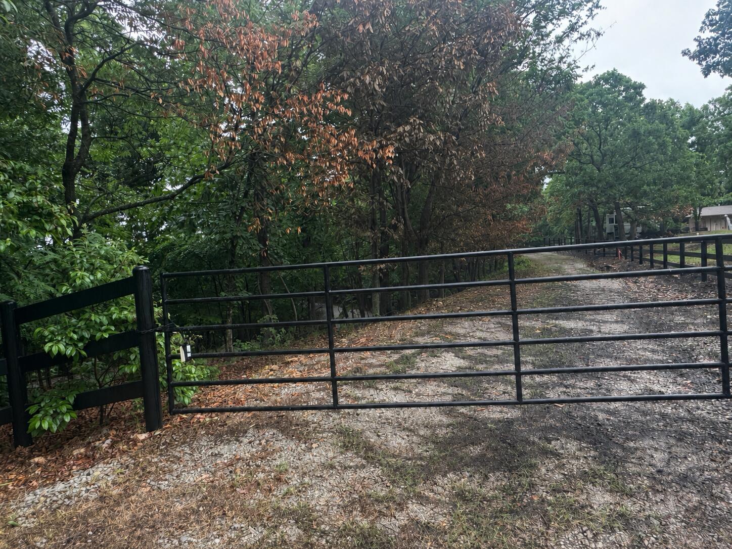 Image 4: Gated entrance