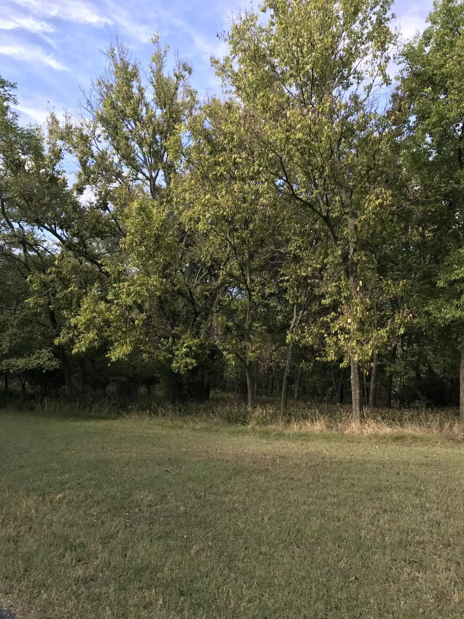 Image 1: Lot