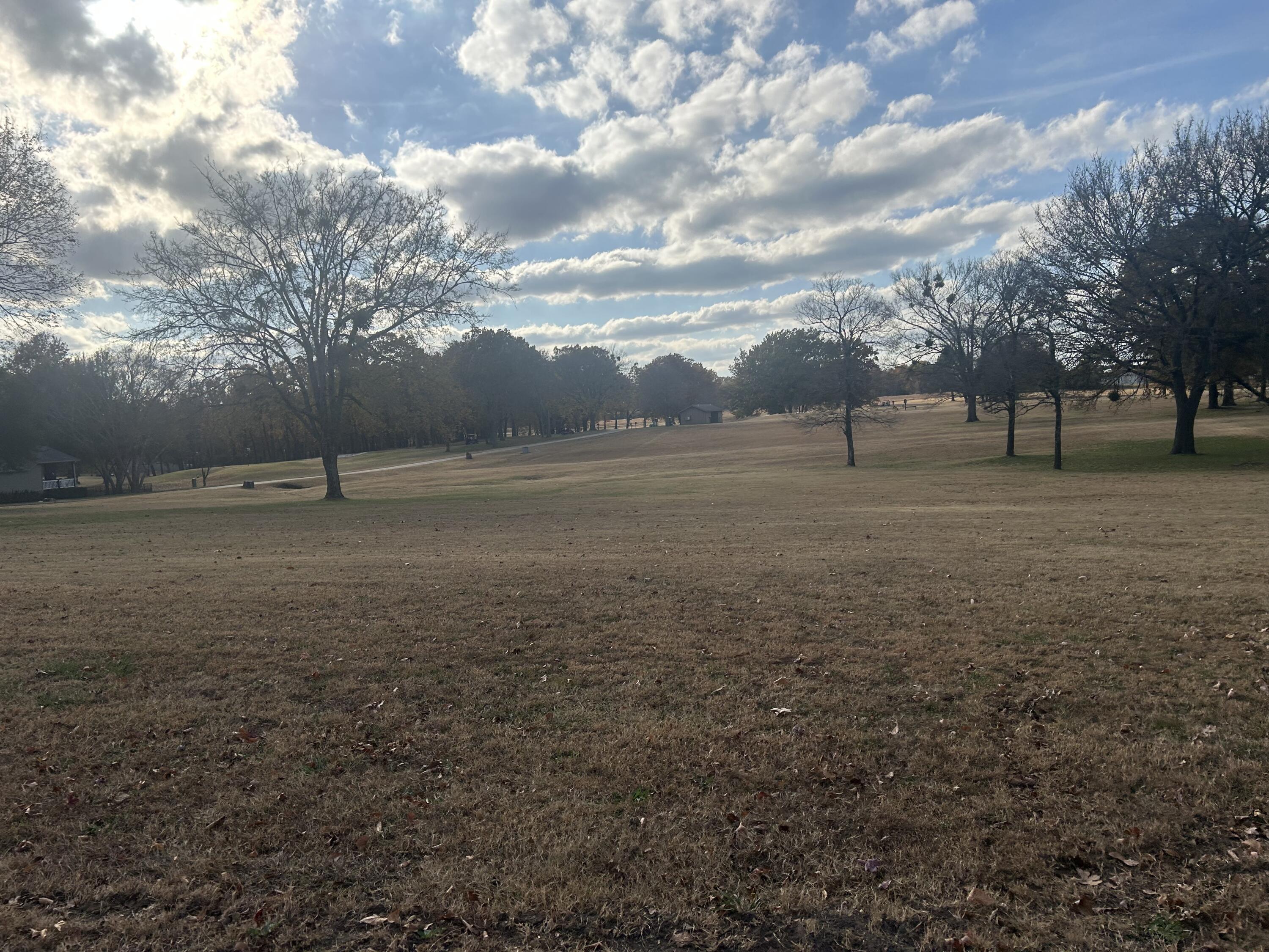 Image 3: Lot