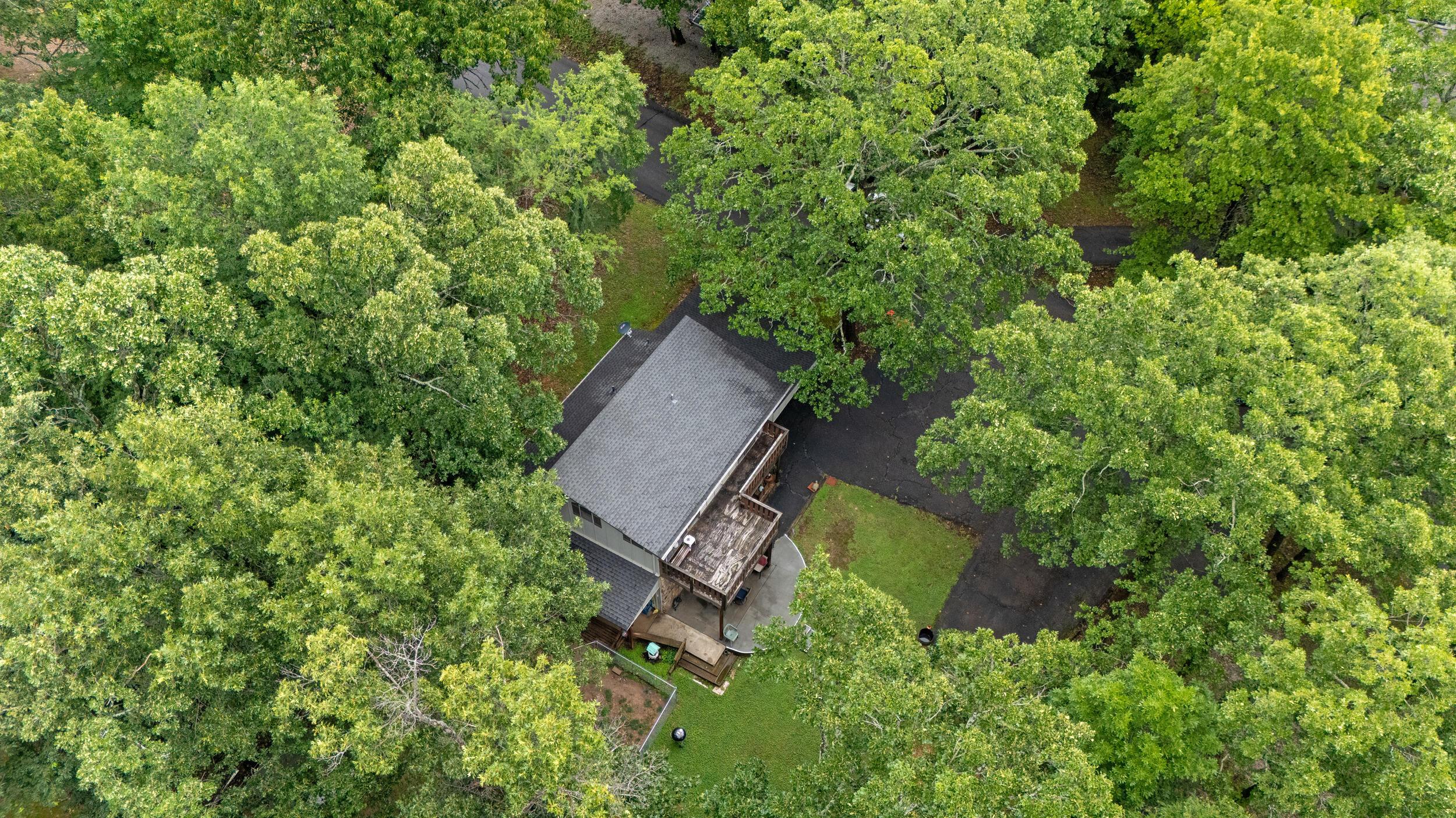 Image 2: Cabin in the woods
