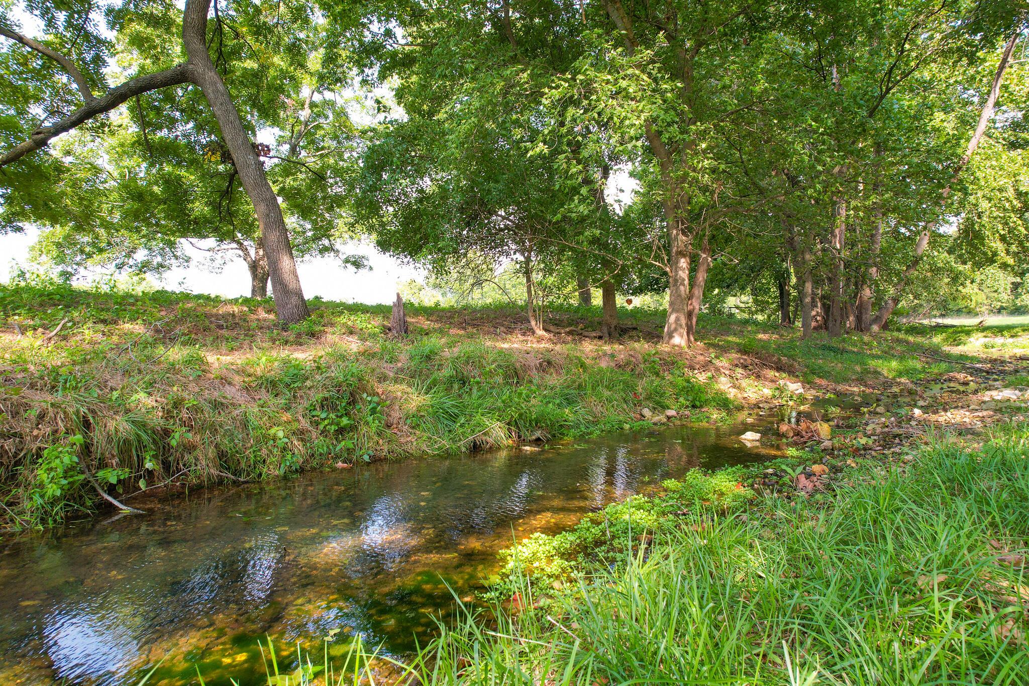 Image 3: DJI_0870