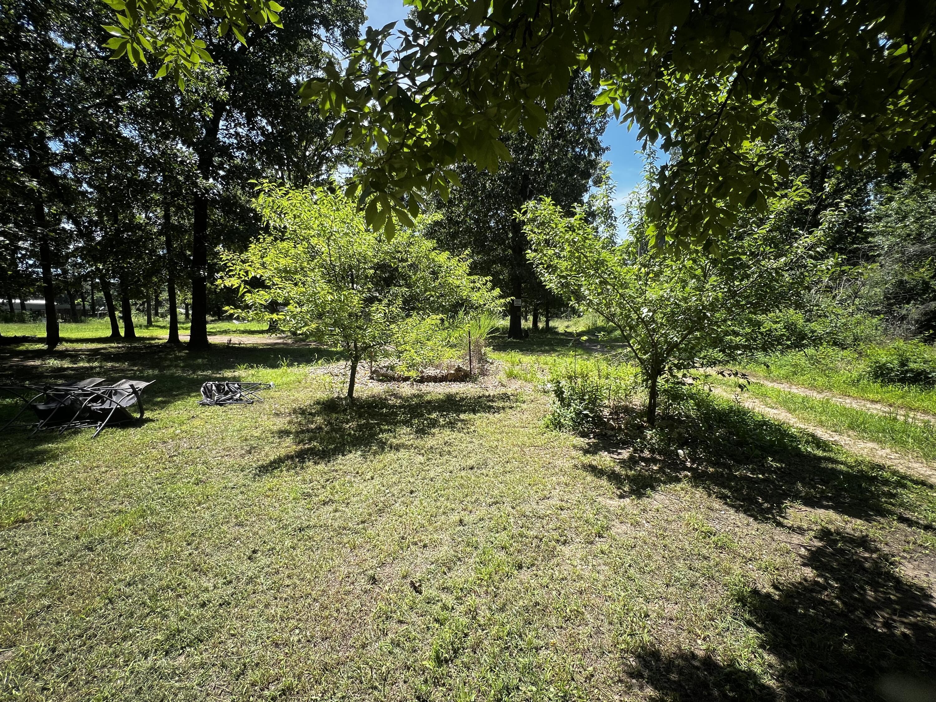 Image 3: IMG_0218