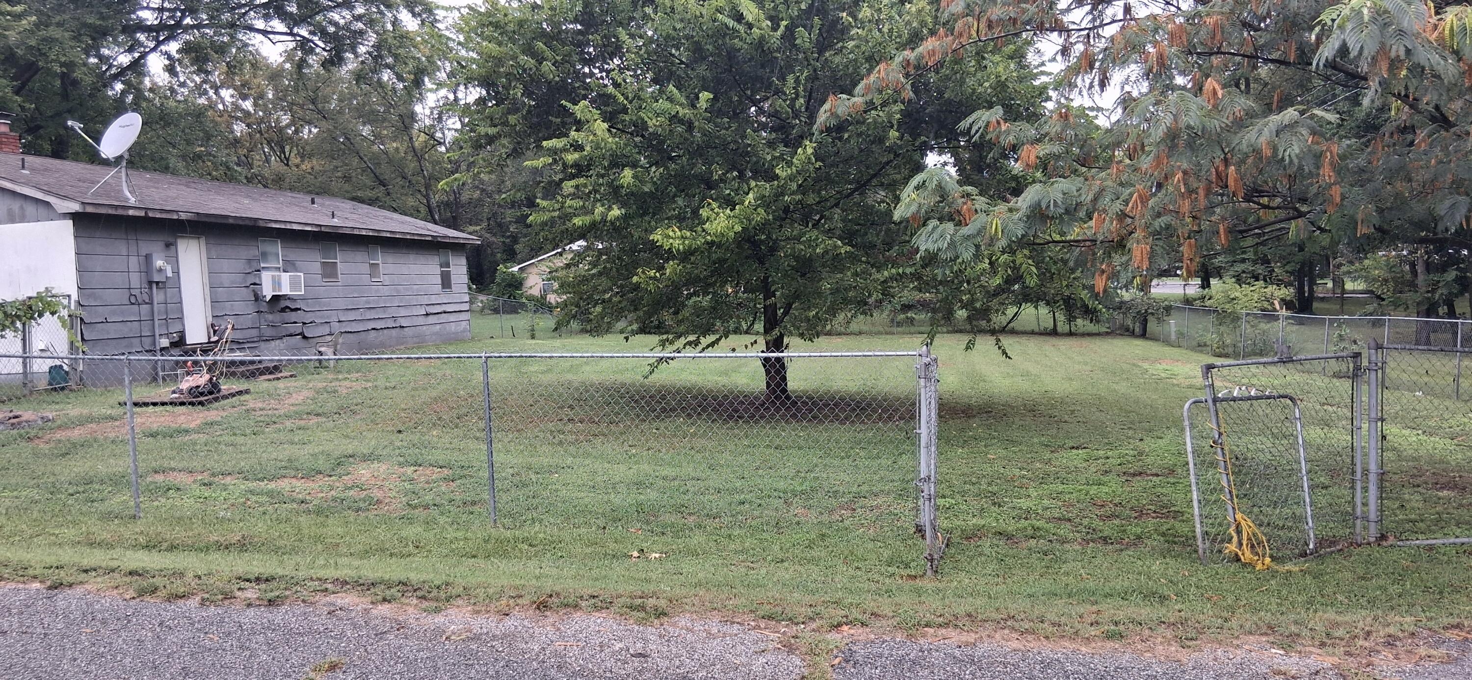 Image 3: 20250923_114429
