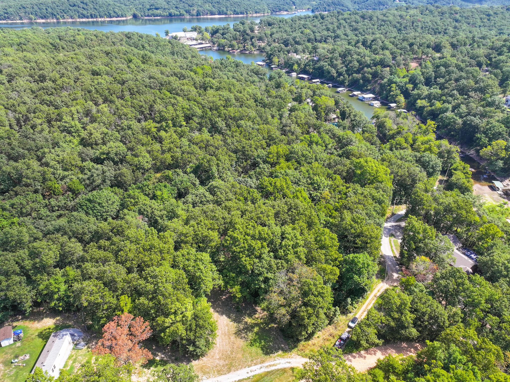 Image 2: DJI_20250821112245_0746_D