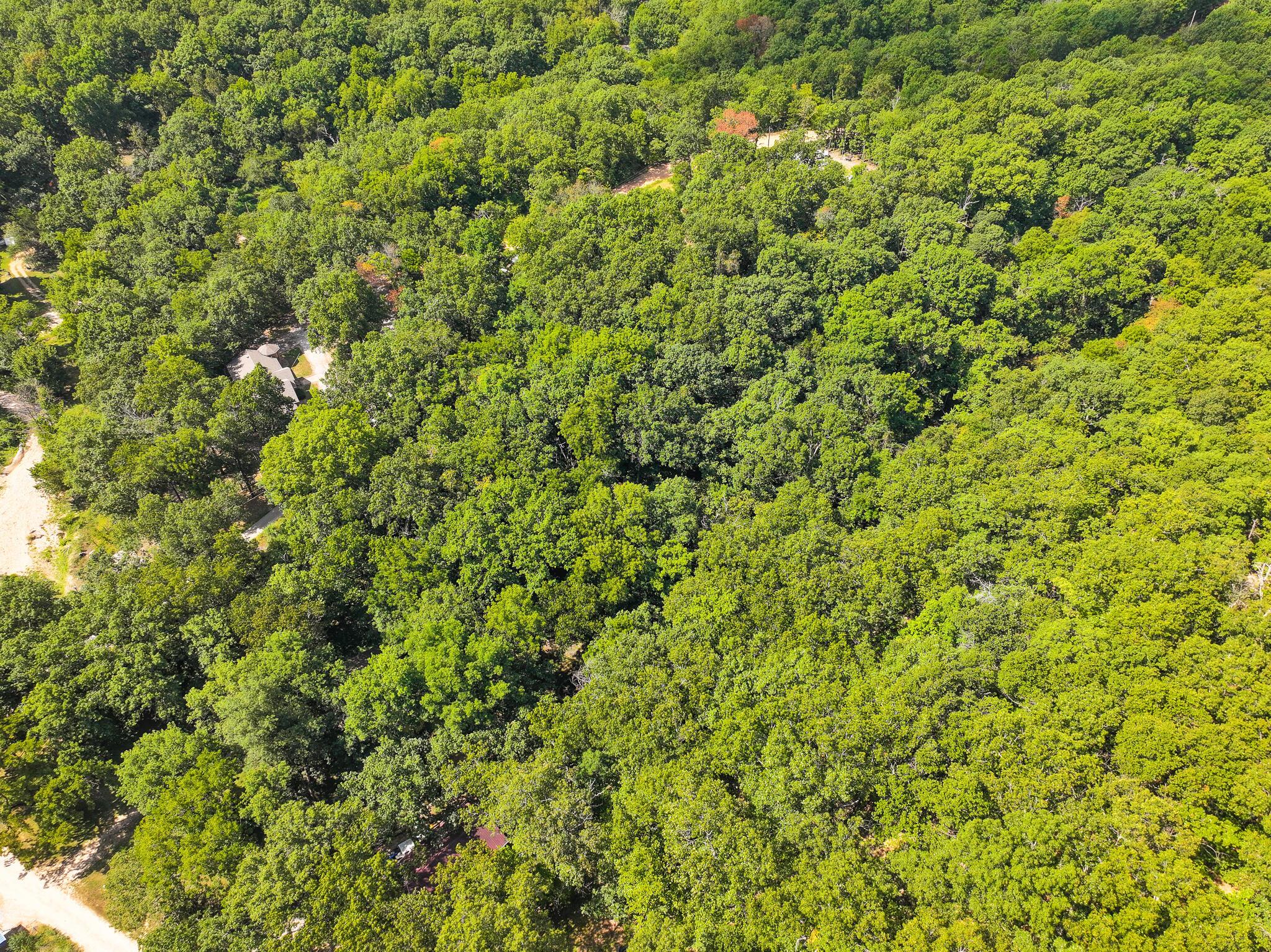 Image 3: DJI_20250821112318_0747_D