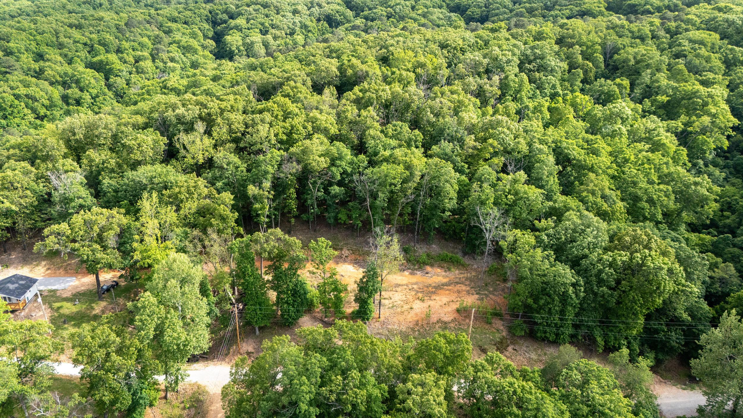 Image 3: dji_20260429053822_0328_d