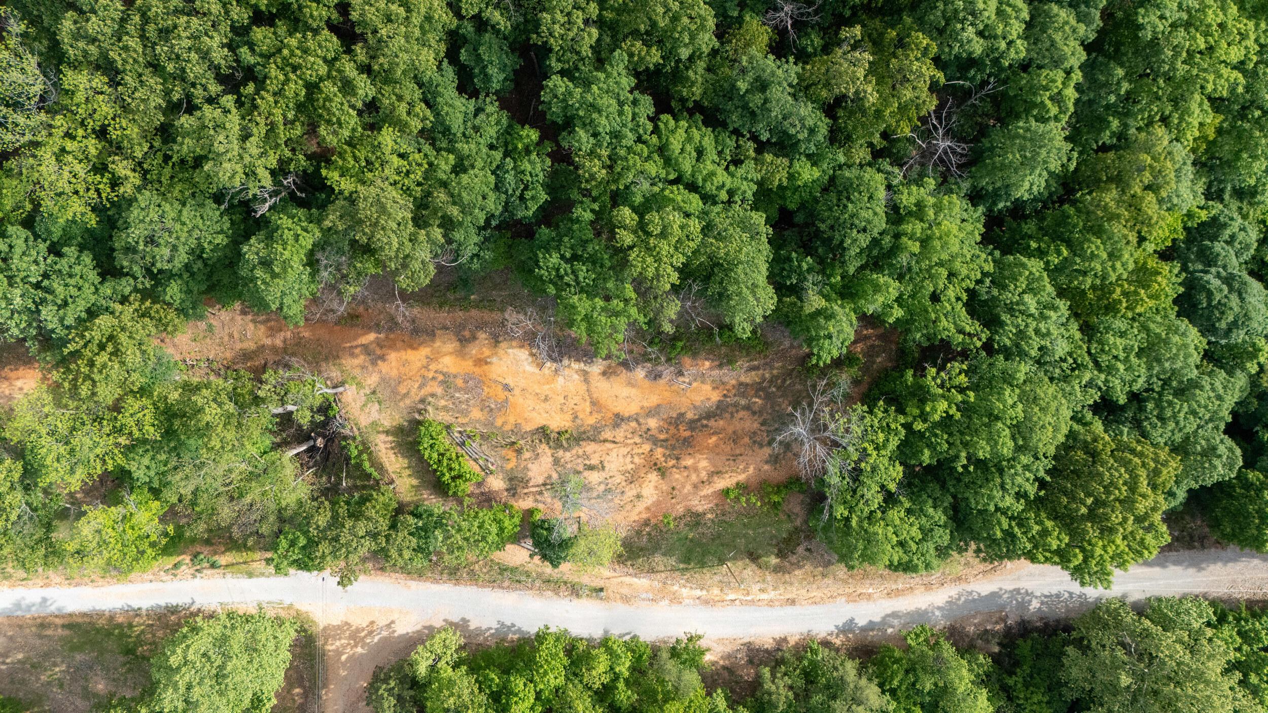 Image 4: dji_20260429053851_0329_d
