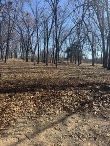Lot 1 & 2 S 585 Trail