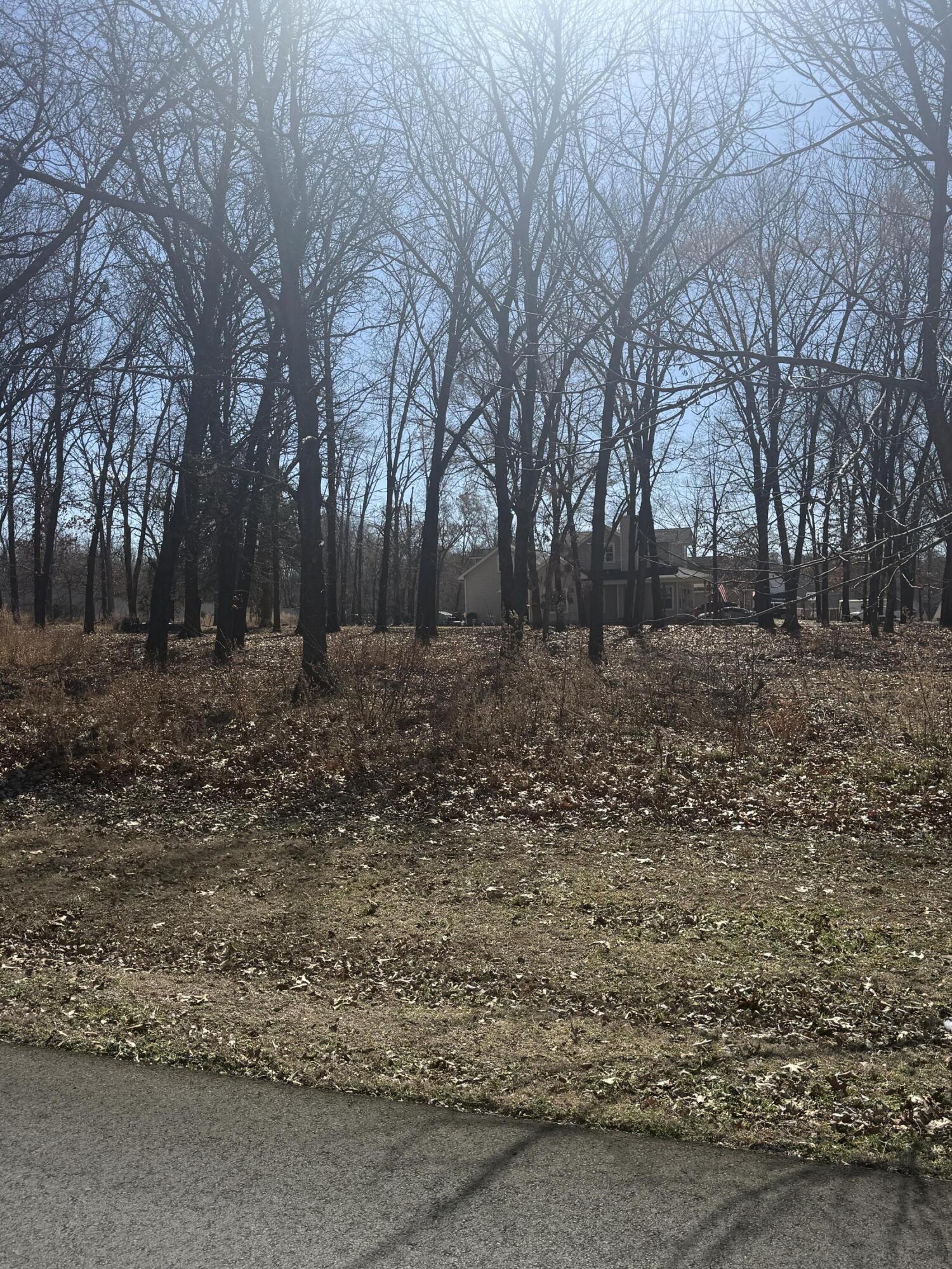 Image 3: IMG_2597