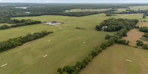 Image 2: dji_20250827154347_0776_d