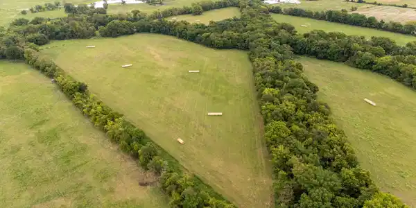 Image 3: dji_20250827154402_0777_d
