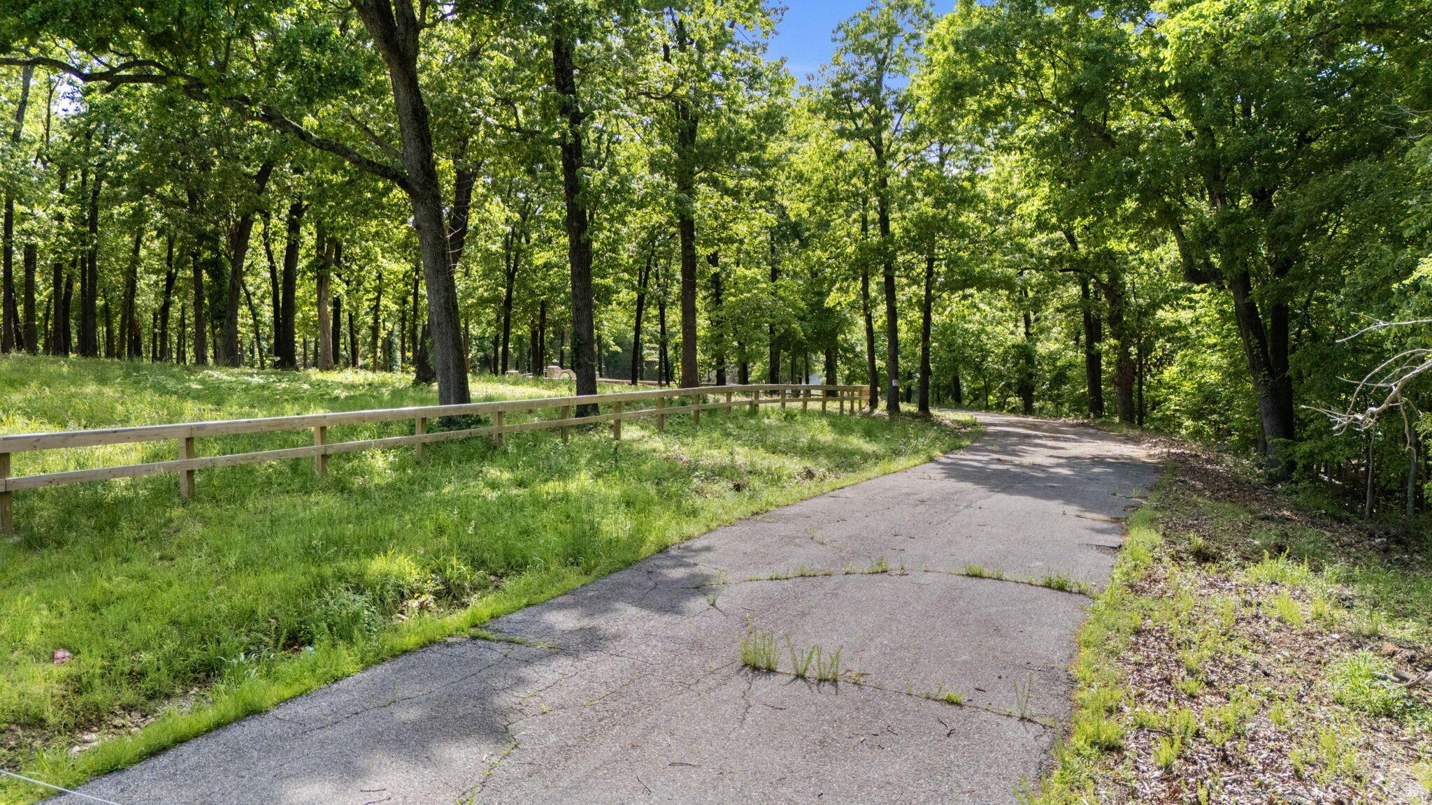 Image 4: Spring