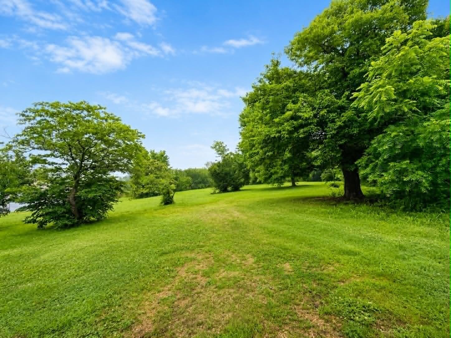 Image 4: Yard