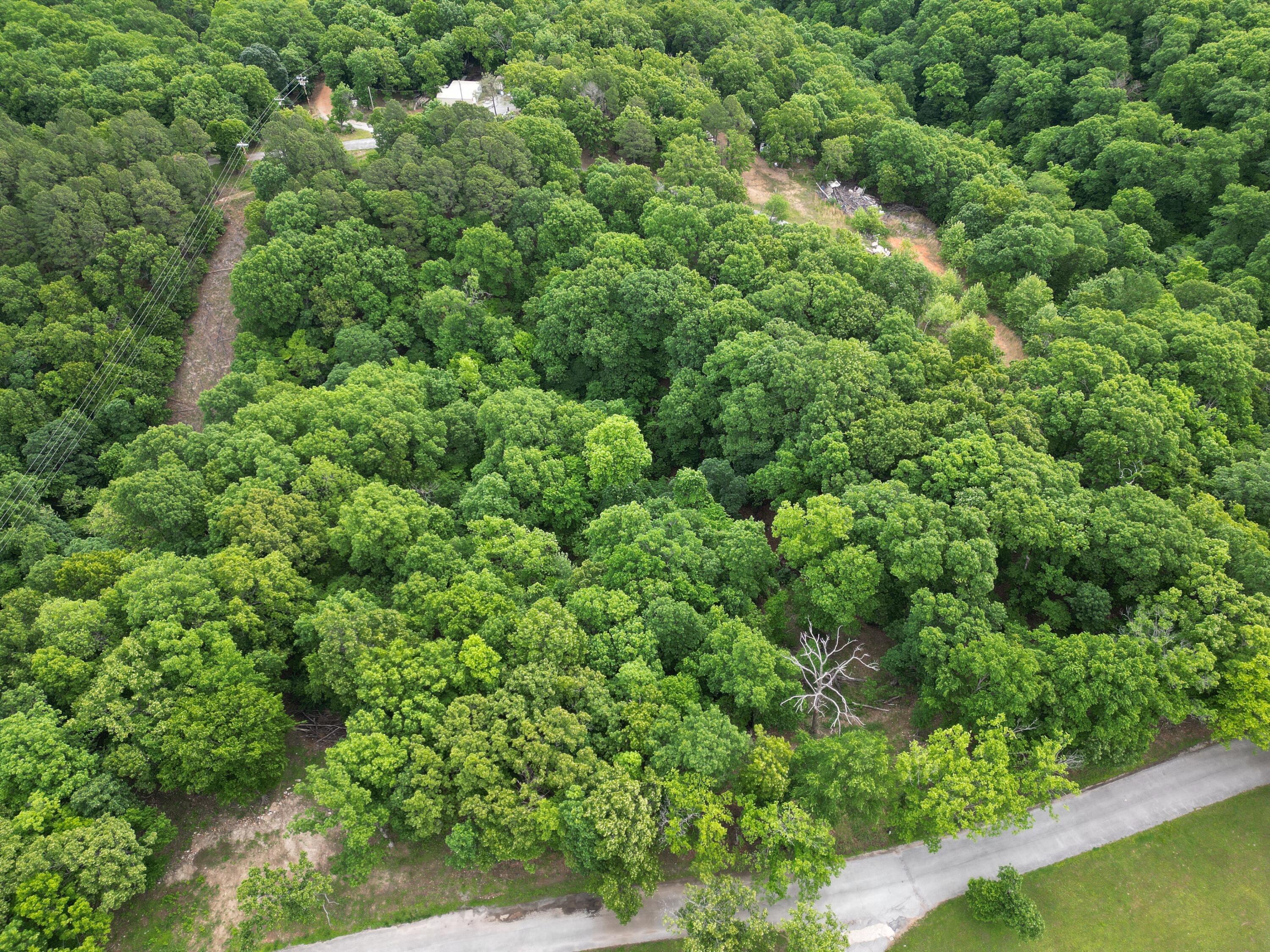 Image 4: DJI_0309