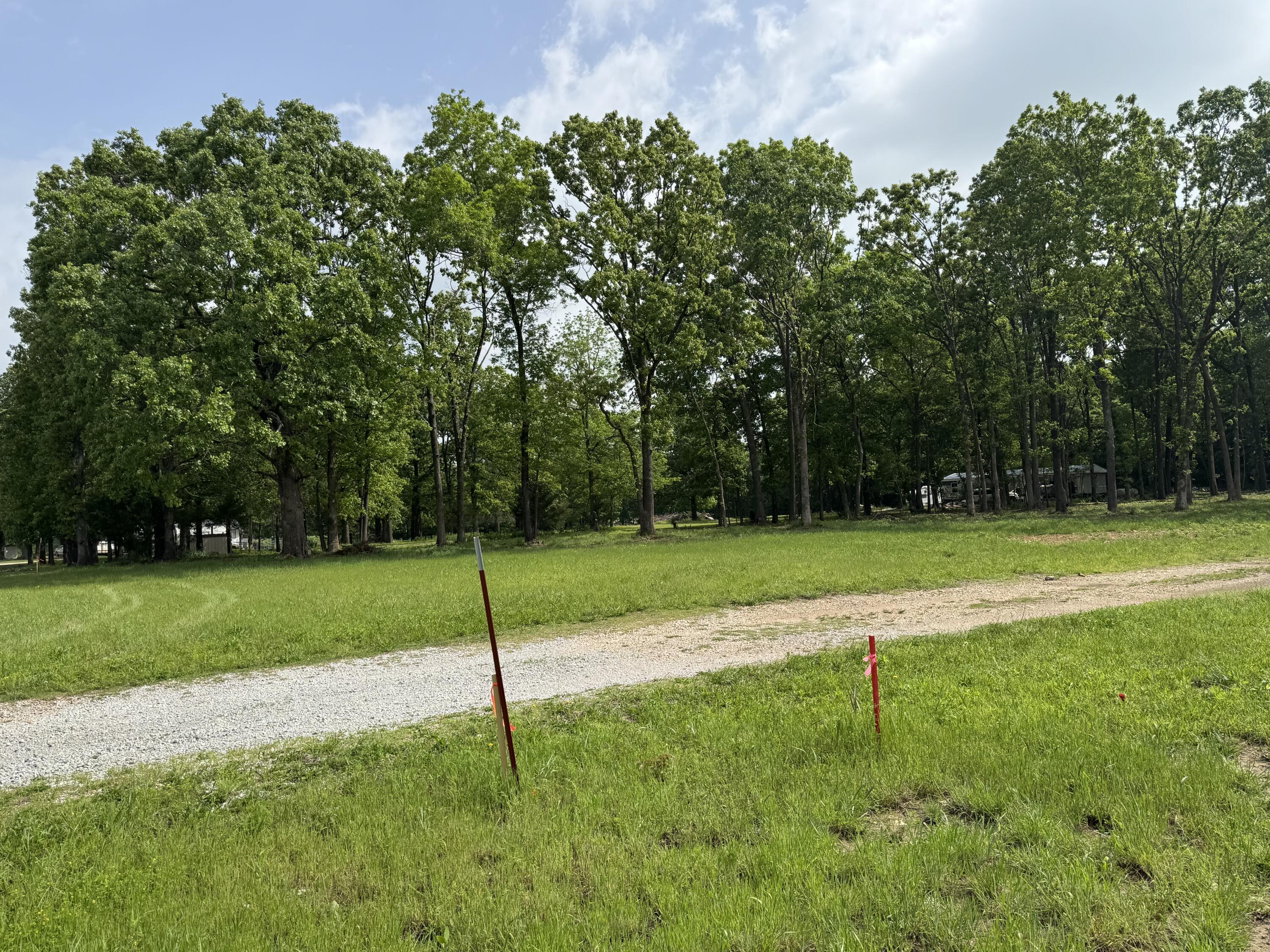Image 3: IMG_2854