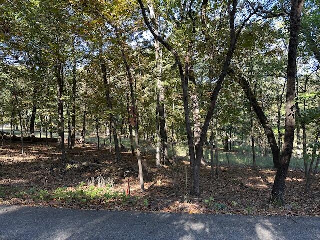 Image 1: lot view