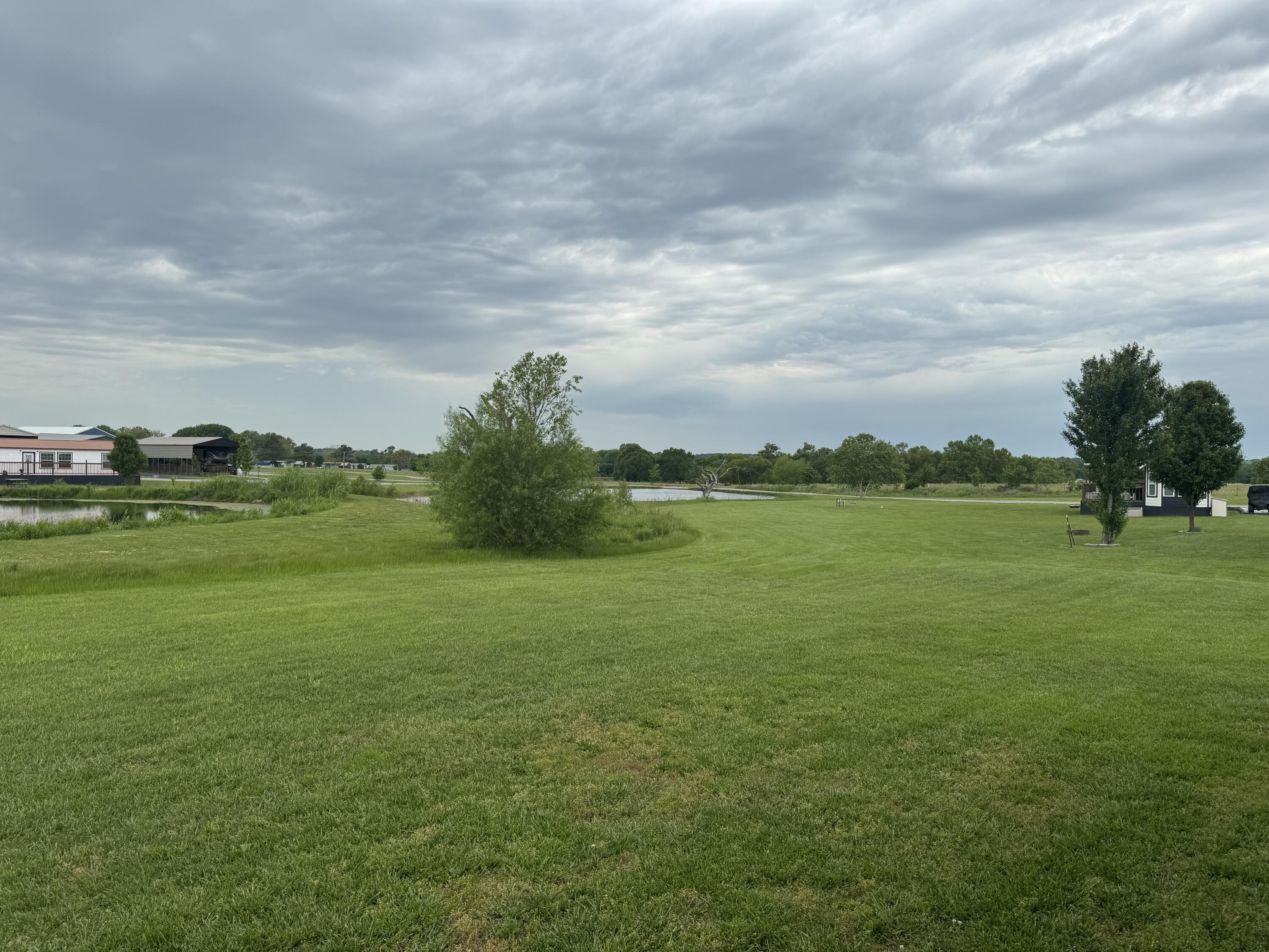 Image 4: IMG_0766
